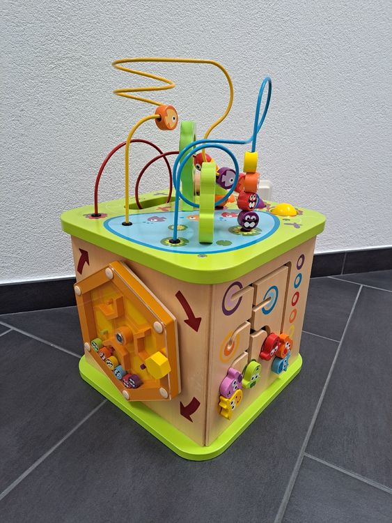  Foto zu HAPE Motorikwürfel - kleine Tierchen (Gebraucht) in Niedergampel für 