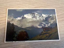 Jungfrau Berg Bergen