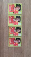 Panini Fifa 2026
