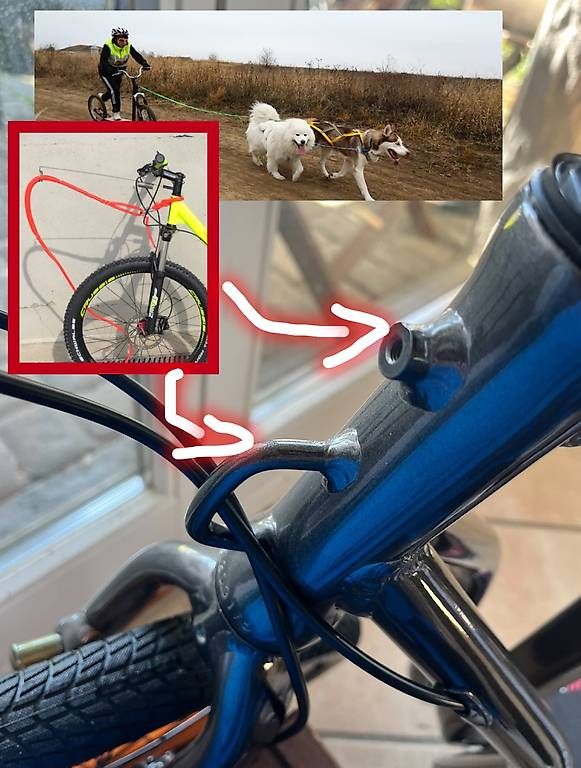 Scooter: Elektro Trotti Neu - Scooter eScooter Electro Roller – Usato da Bremgarten AG venduto da david12345 3