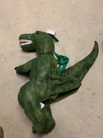 Kostüm Kinder Fasnacht Dino