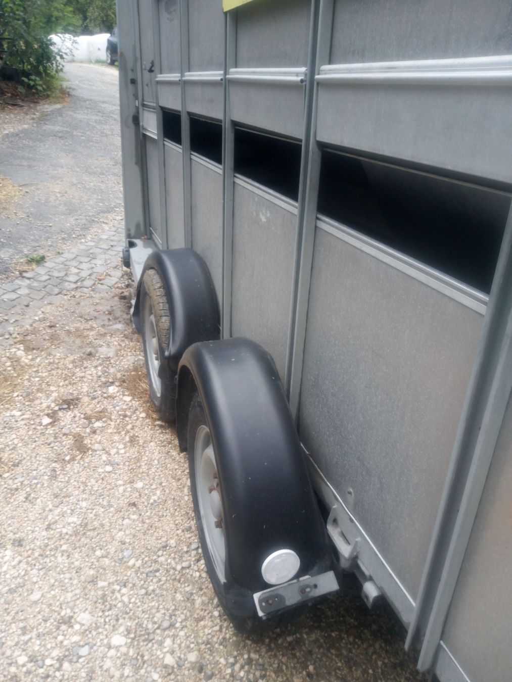 Ifor Remorques: Viehtransporter Ifor Williams – Défectueux à Rüttenen par Dart4 8