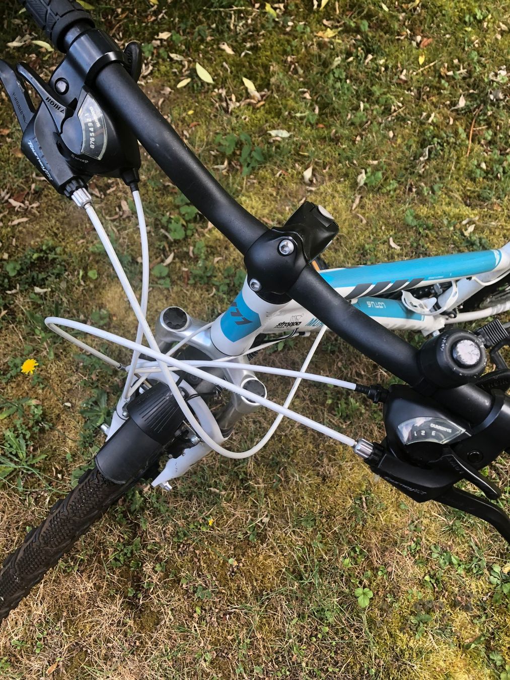 Velos: Trekkingvelo Kinder/Jugendliche von Morrison – Gebraucht aus Kreuzlingen von Lavendel25 2