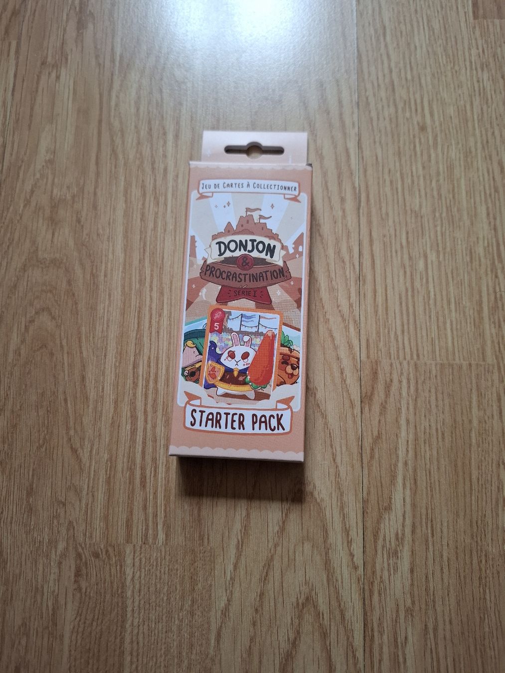 Giochi: Donjon & Procrastination Jeu de Cartes Starter Pack – Usato da Biel/Bienne venduto da st-Pixel