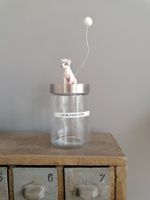 Vorratsglas mit Hund