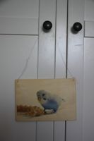 Schild zum Aufhängen "Wellensittich" DIY