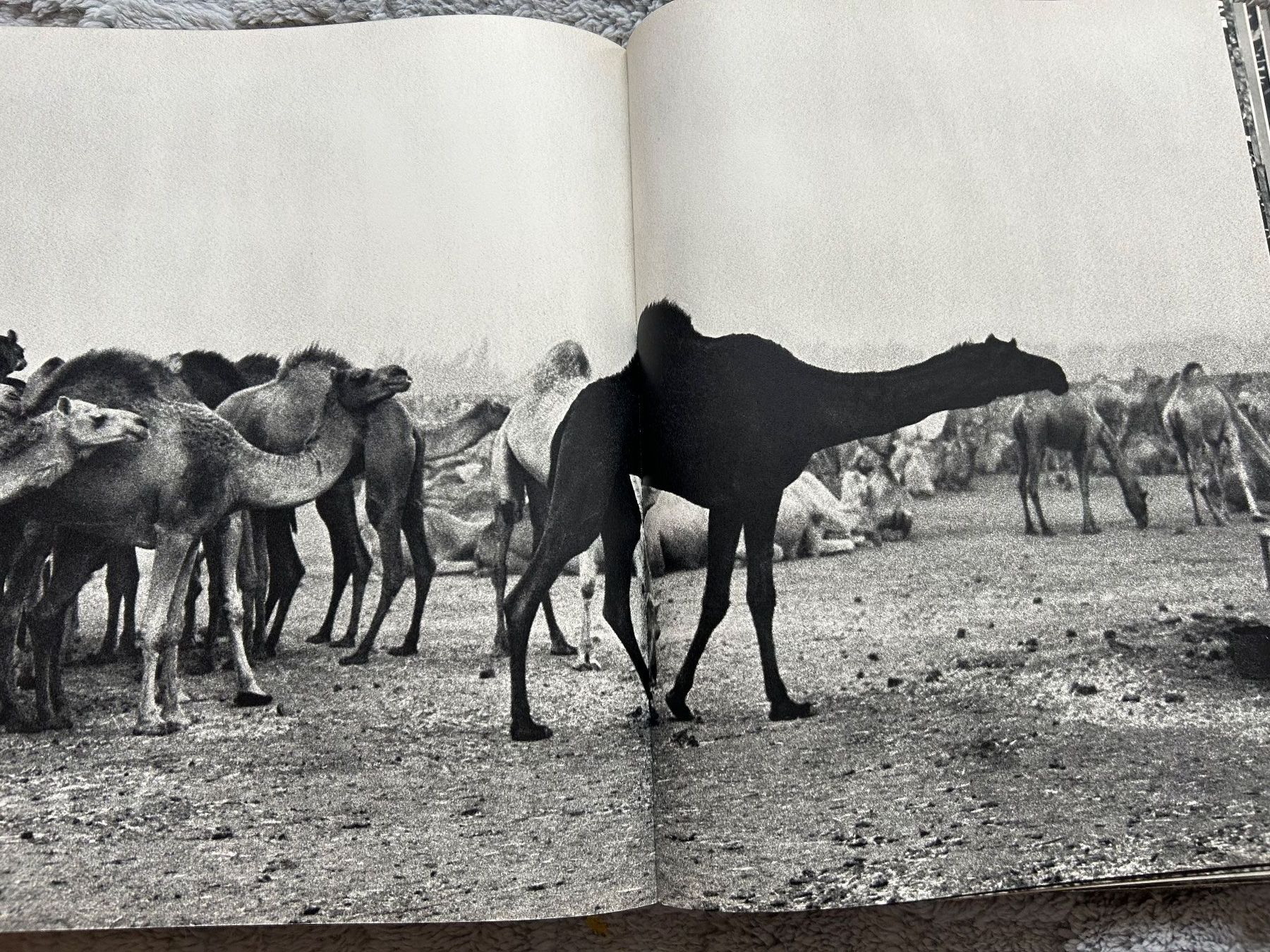 Libri: INSTANTS VOLES   INSTANTS DONNES – Usato da Genève venduto da zonzon9351 2