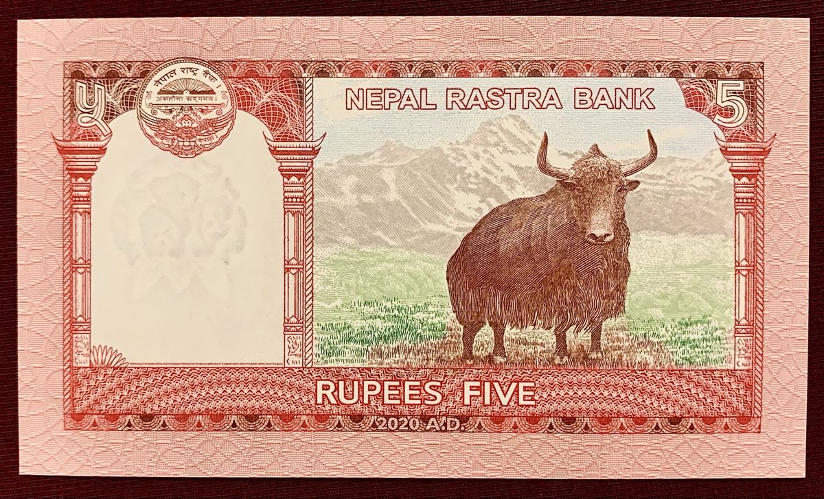 Banconote: 5 Rupees Nepal 2020!!! UNC!!! – Nuovo (secondo la descrizione) da Oberentfelden venduto da NunoLouro 1