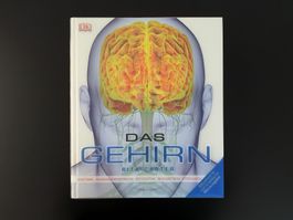 Buch "Das Gehirn" / neu/neuwertig