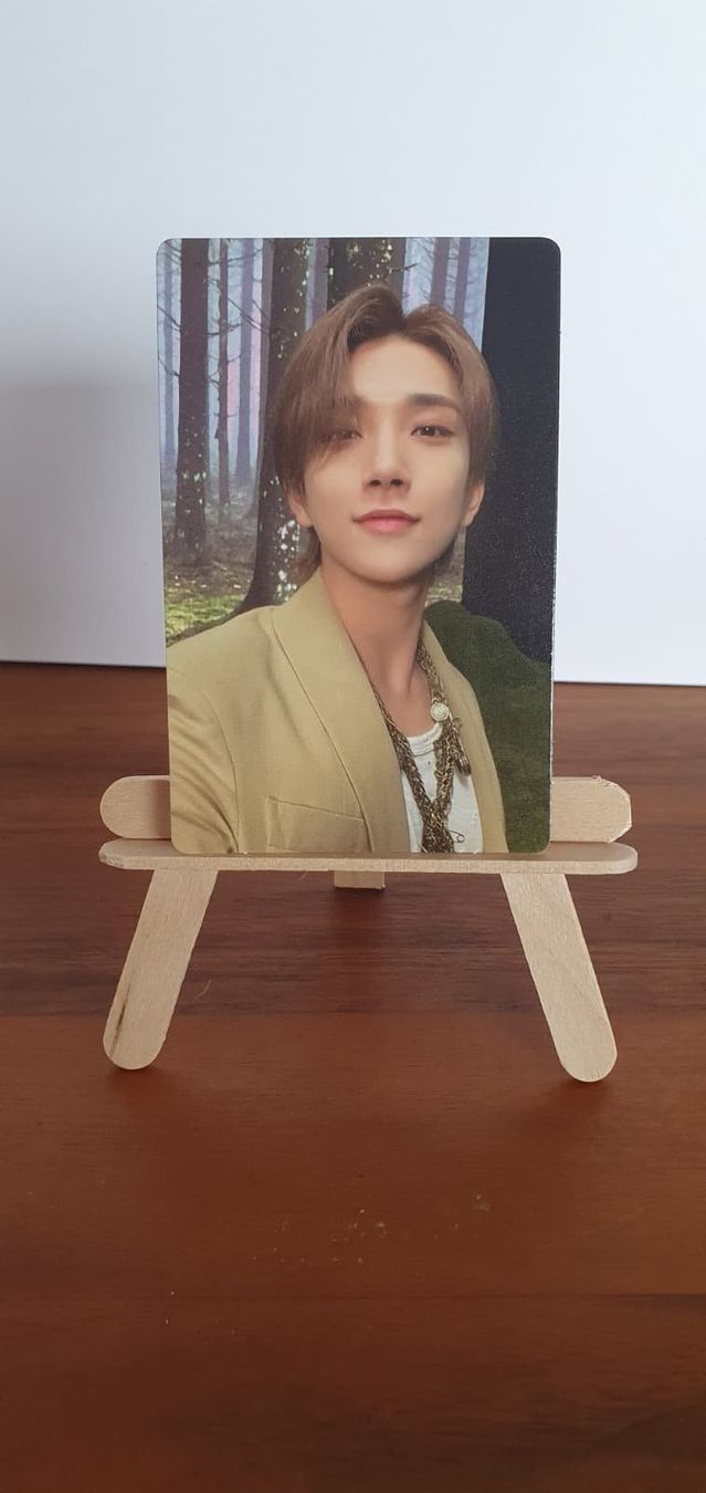 Carte collezionabili: Joshua Seventeen Photocard – Usato da Kriens venduto da befor83
