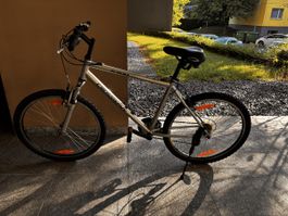 Velo Fahrrad City Bike neue Reifen neuer Sattel mit 10 Gänge