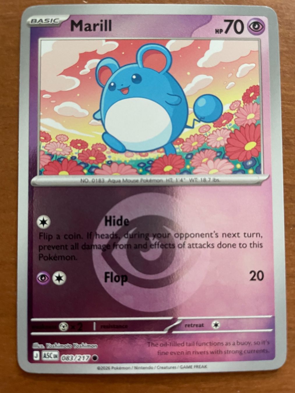 Pokémon Sammelbilder & Trading cards: Pokemon Marill Reverse (Versand gratis) – Neu (gemäss Beschreibung) aus Chur von Angerson
