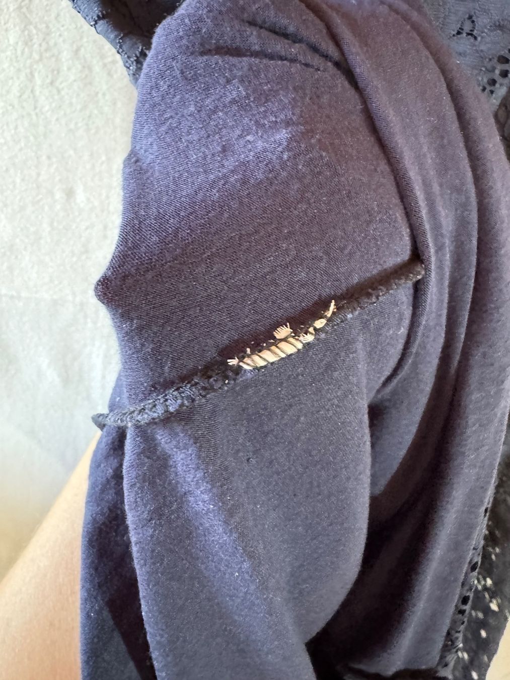 Vestiti: Dunkelblaues Spitzenkleid Gr. L – Usato da Grosswangen venduto da second_hand_dress 5