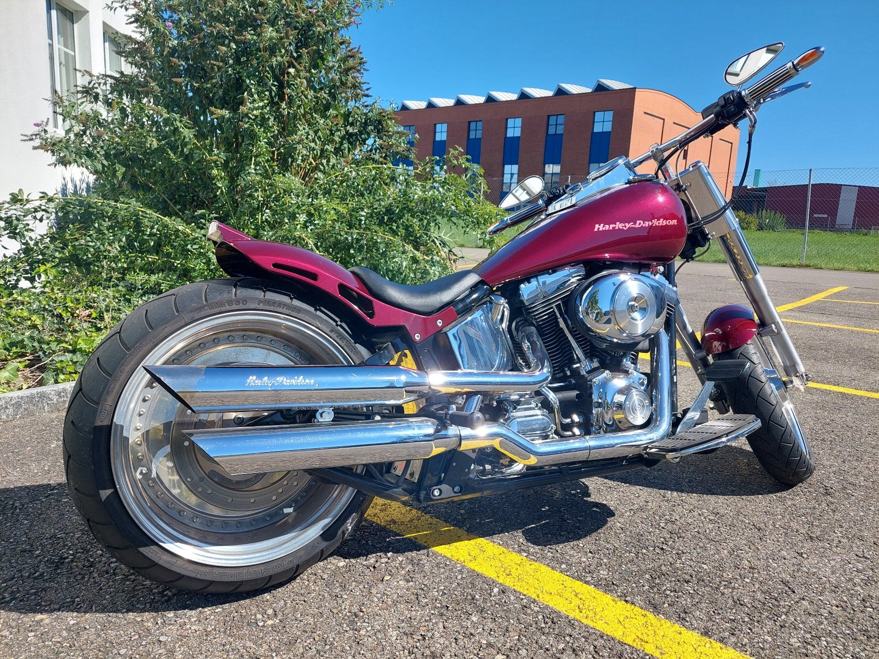 Chopper: Harleiy Davidson FLSTF – Usato da Altnau venduto da wahet 3