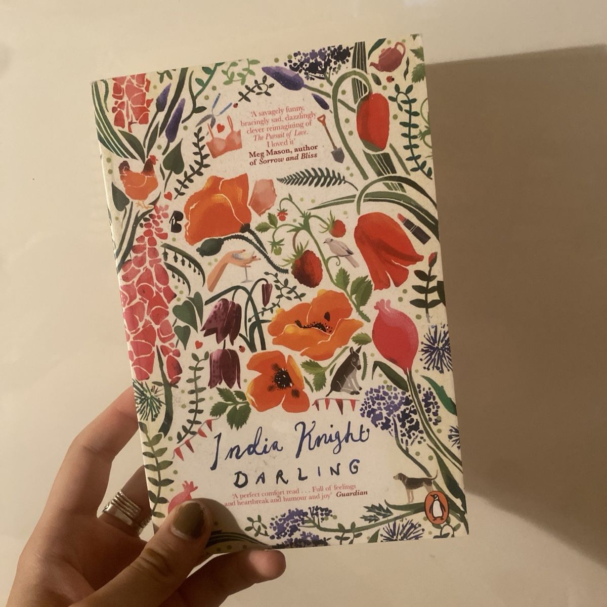 Libri: darling, india knight – Usato da Zürich venduto da chind
