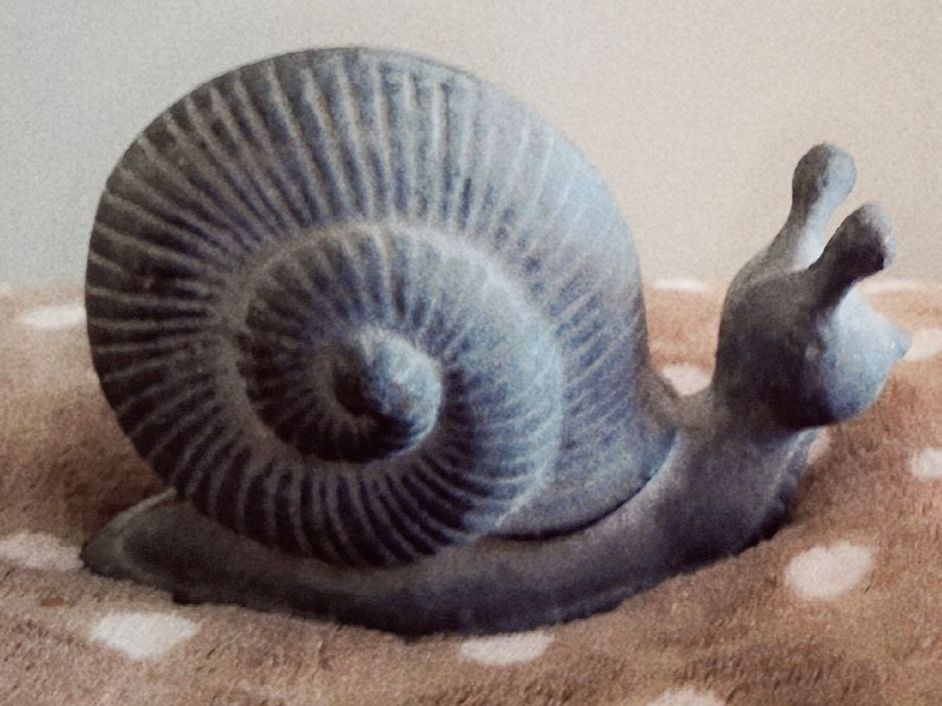 Tutte le decorazioni: Deko Schnecke grau Beton? für Garten oder Haus – Nuovo (secondo la descrizione) da spreitenbach venduto da lumbalplatte 2