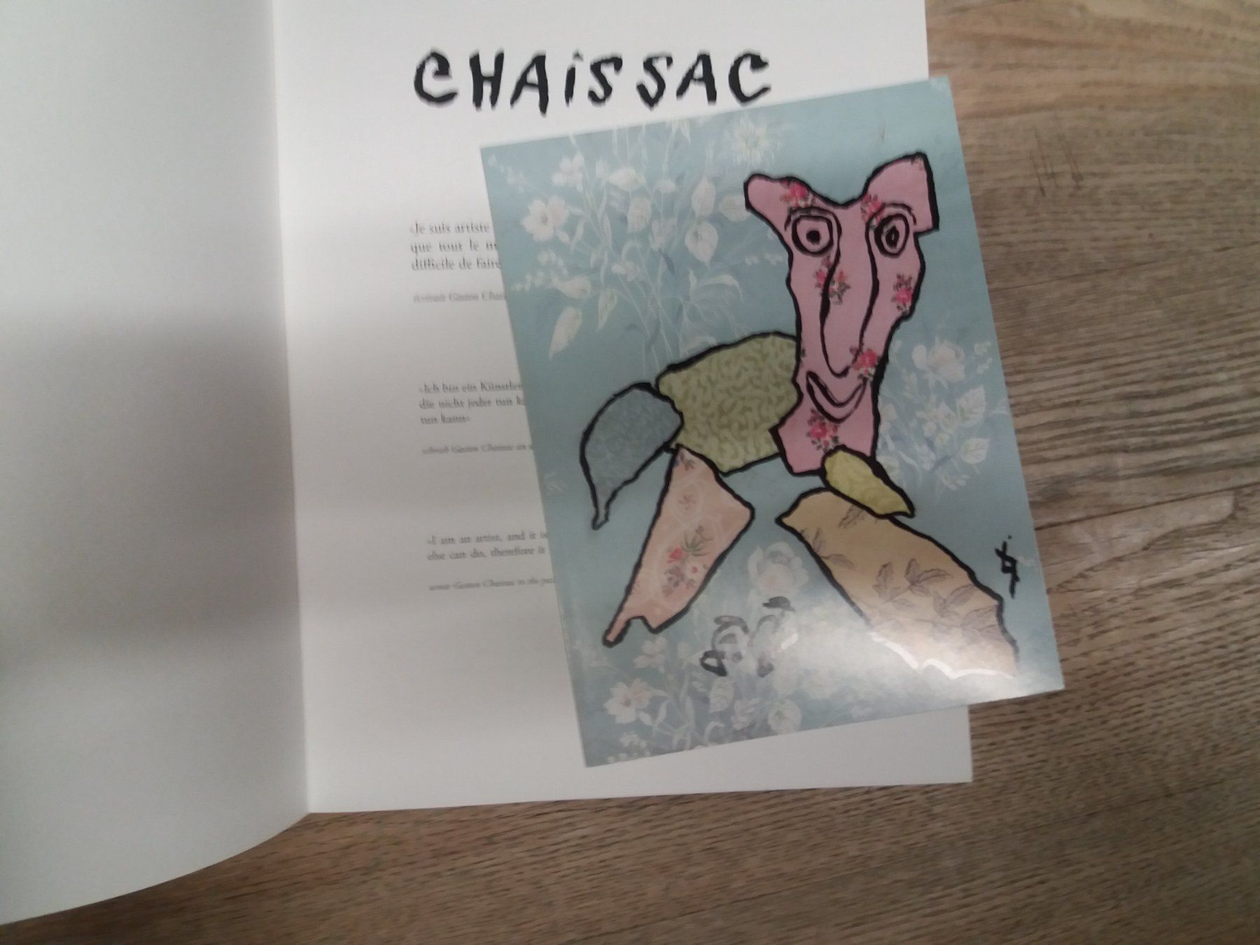 Livres: KUNSTKLASSIK Gaston  Chaissac  selten – D'occasion à Welschenrohr par Regool 6