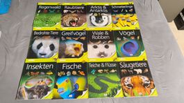 Sammlung von Sachbüchern