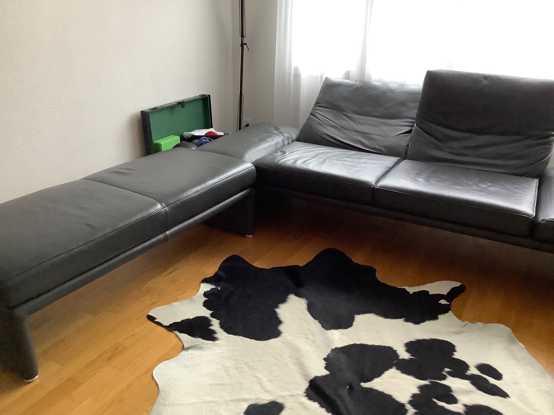 Divani: Sofa – Usato da Davos Wiesen venduto da Roseli21 3