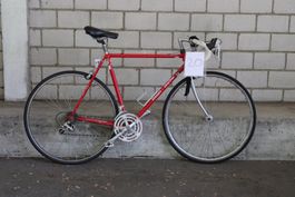 Velo 20