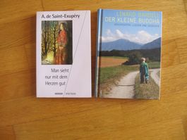 2 Bü (2): kleine Buddha Bardill + Herz Saint-Exupéry