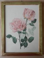 Rosenbild, gerahmt, Vintage, Druck A.M.Trechslin