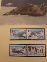 Timbres Antarctique Britannique - Phoques et Manchots