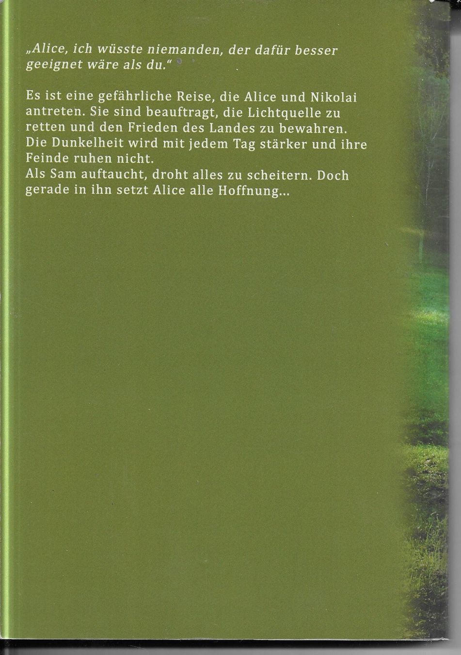 Libri: Jana Schäfer - Tochter des Lichtes – Nuovo (secondo la descrizione) da Nunningen venduto da mercury-for-books 1