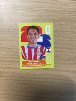 Panini FIFA WC PAR 10