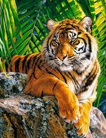 Diamond Painting Tiger-34-30x40-1224