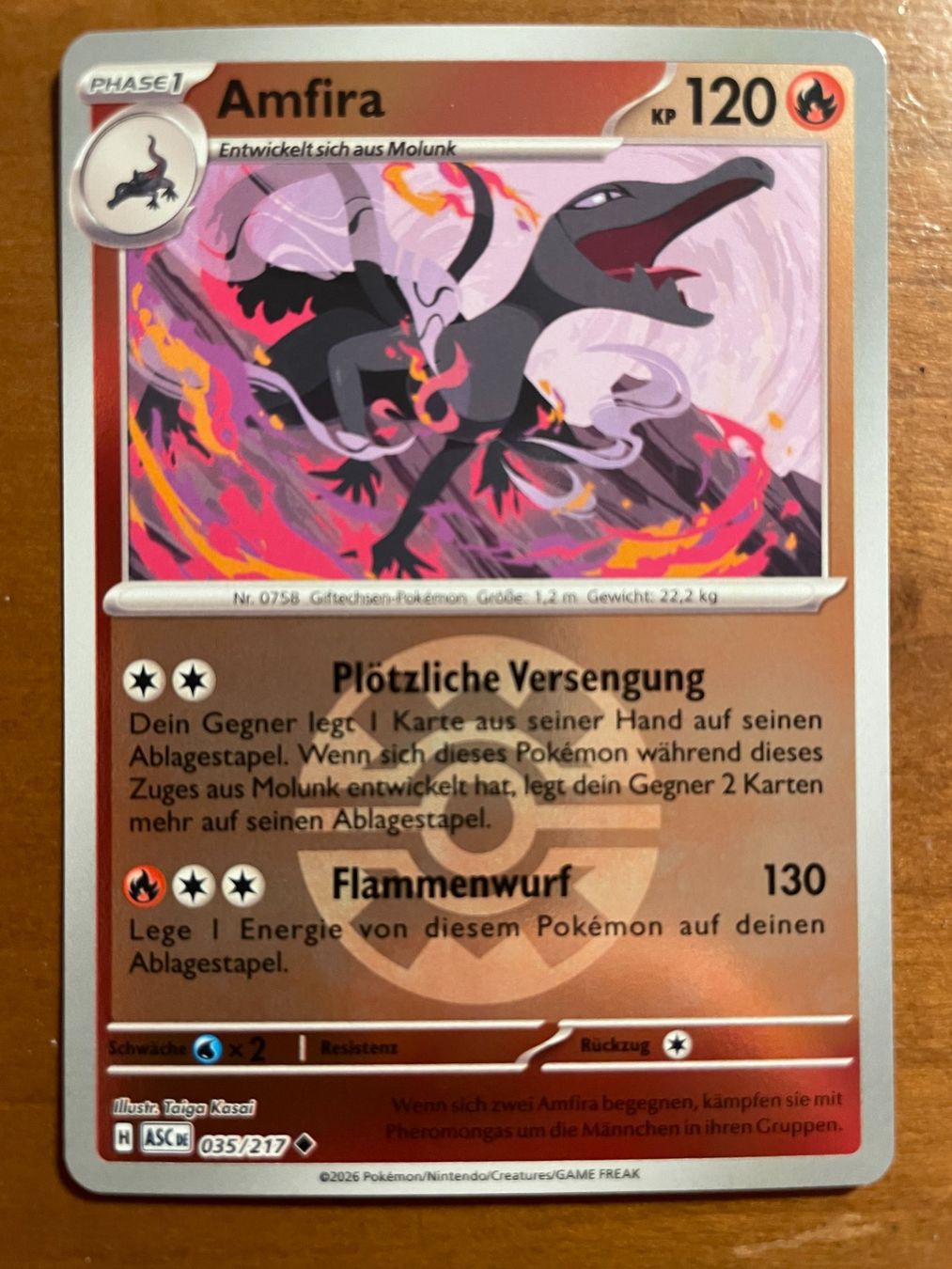 Pokémon Carte collezionabili: Pokemon Amfira Reverse (Versand gratis) – Nuovo (secondo la descrizione) da Chur venduto da Angerson