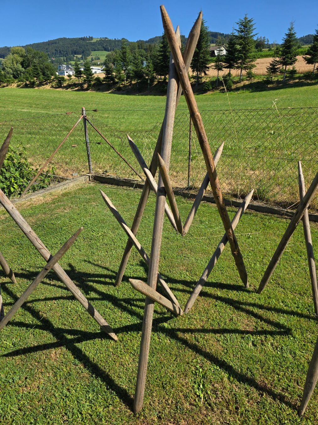 Altro in Utensili da giardino: 1 Set a 3 Stück Heu Heinzen – Usato da Rorschacherberg venduto da Scharfeegge 2