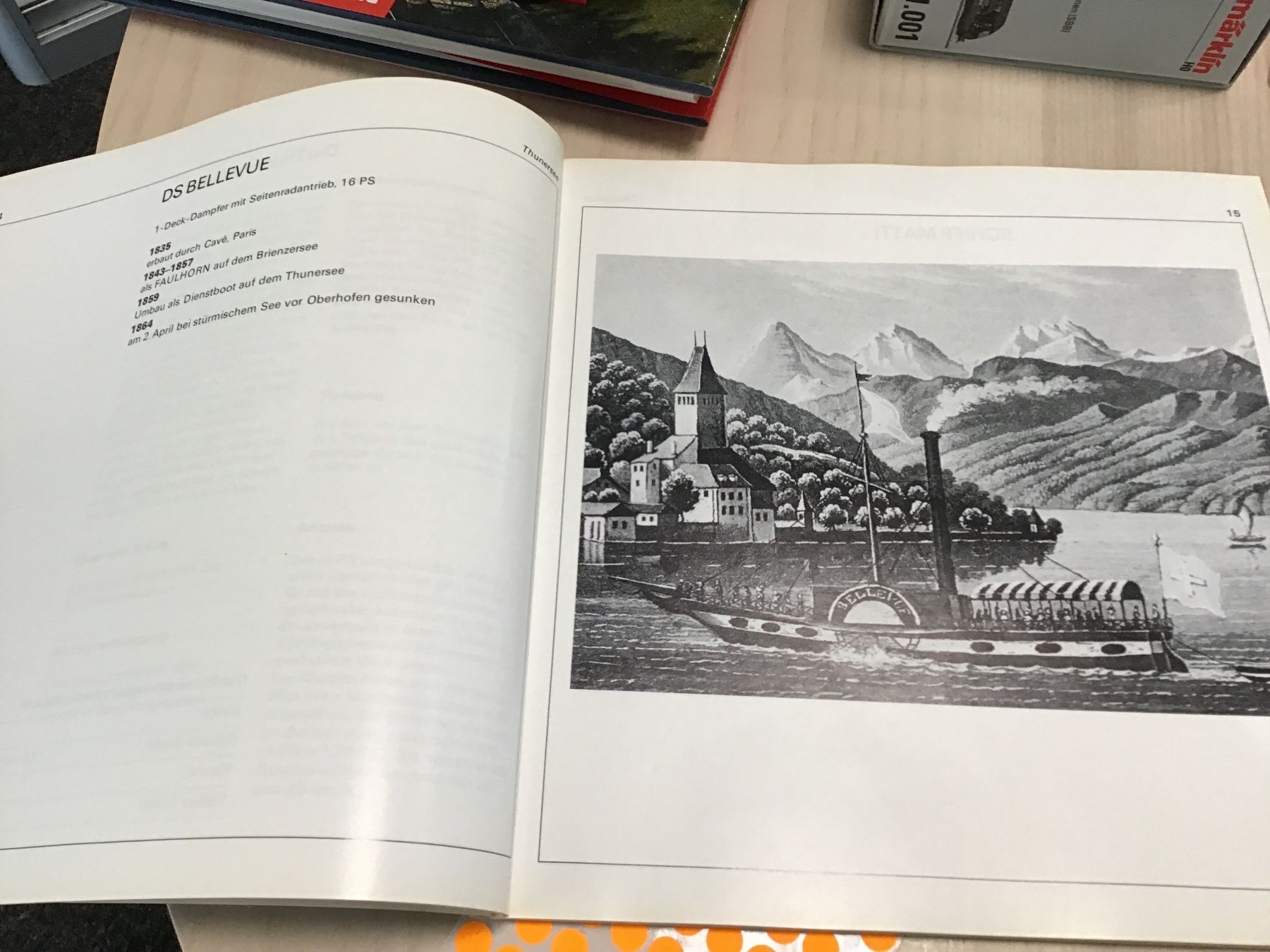 Libri: BUCH Flottenparade Thuner-/Brienzersee BIS – Usato da Männedorf venduto da Modelle-aller-Art 2