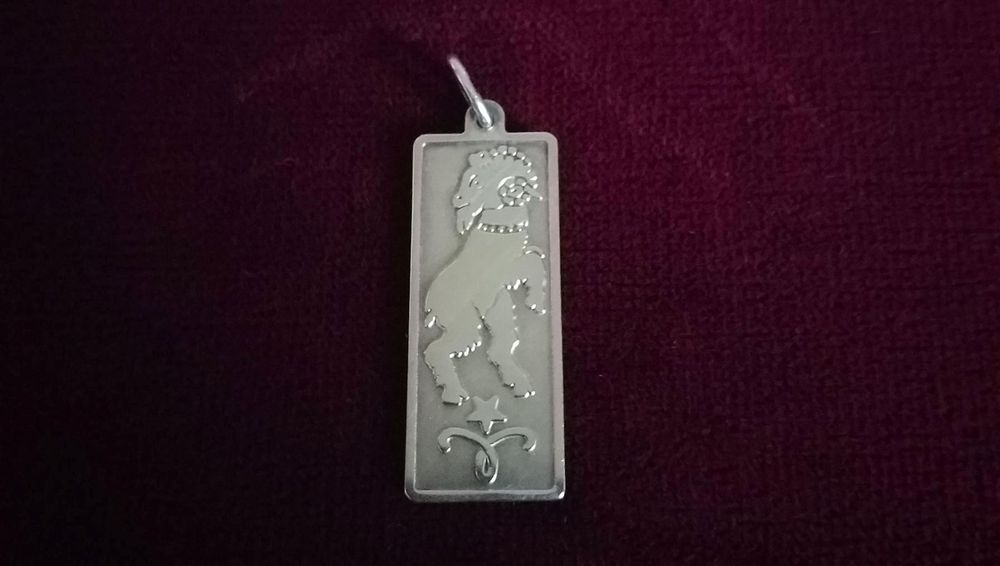 Widder USB Stick 8GB – Lustiger Tierkreis-Anhänger Zum Mitnehmen | Persönliches Geschenk | Sternzeichen Flash Drive