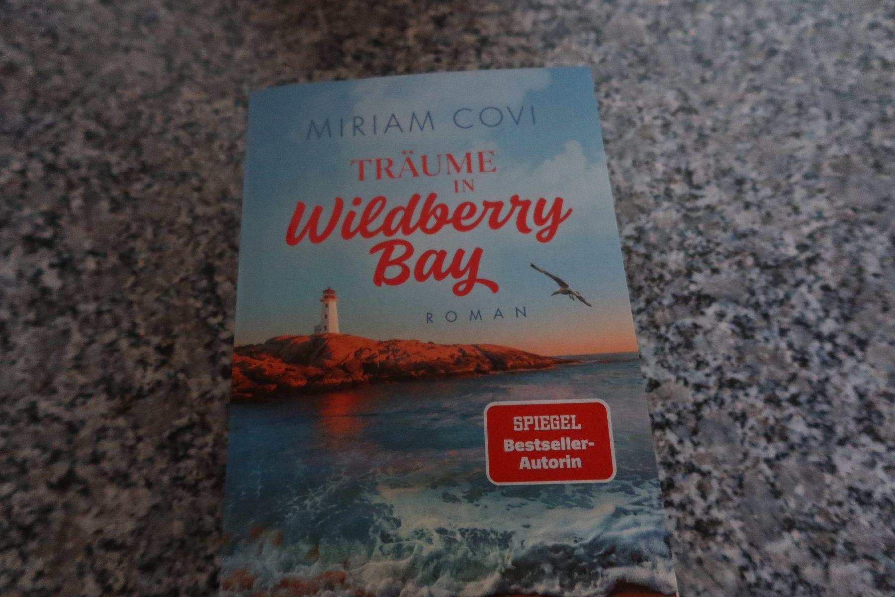 Libri: Träume in Wildberry Bay – Usato da Täuffelen venduto da Cindybussy