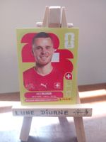 Carte Panini Nico Elvedi SUI 6