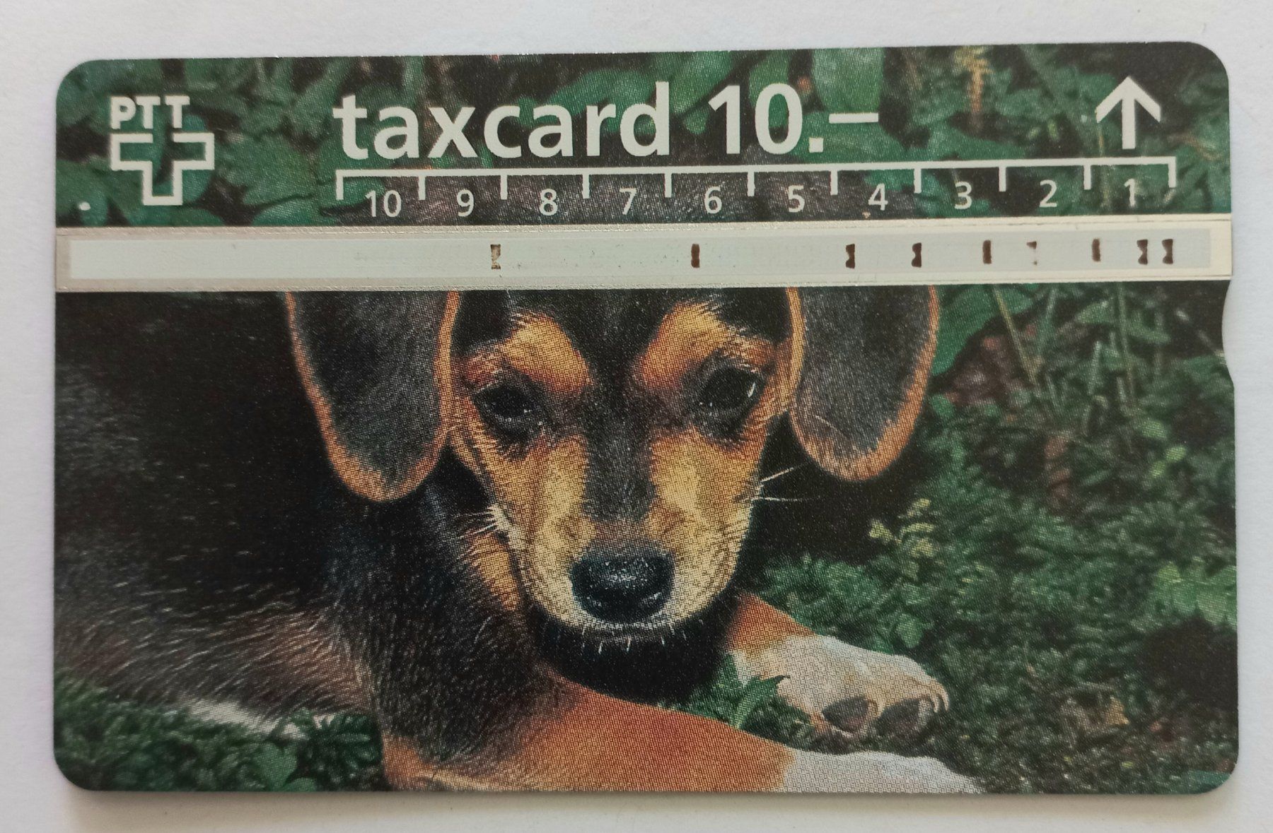 Swisscom Schede telefoniche: PTT taxcard - Welpe - CH – Usato da Niederuzwil venduto da lubimaja