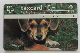 PTT taxcard - Welpe - D