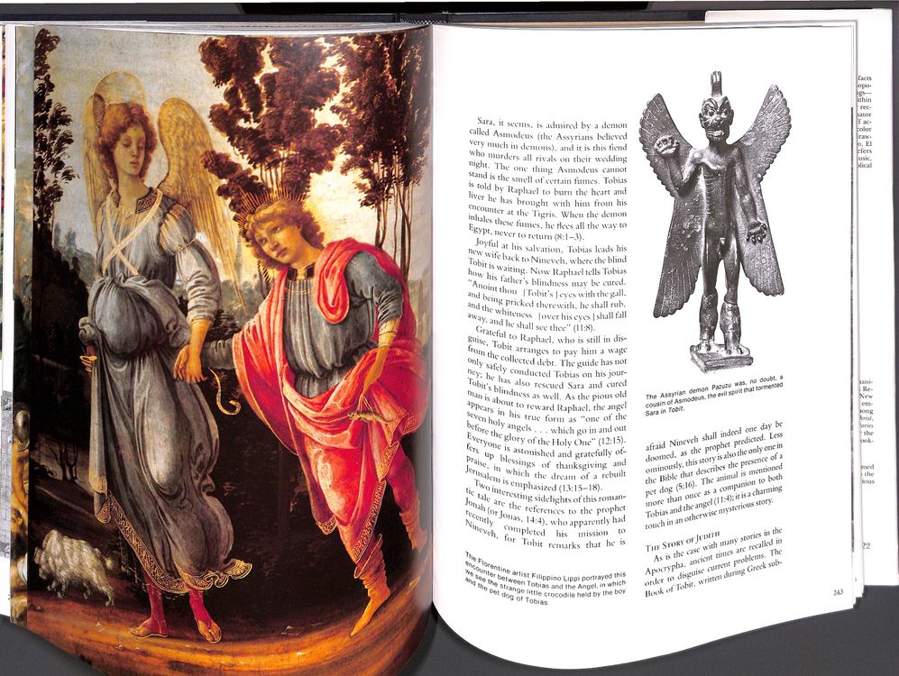 EXPLORING THE BIBLE (Owen S. Rachleff) (Neu und originalverpackt) in