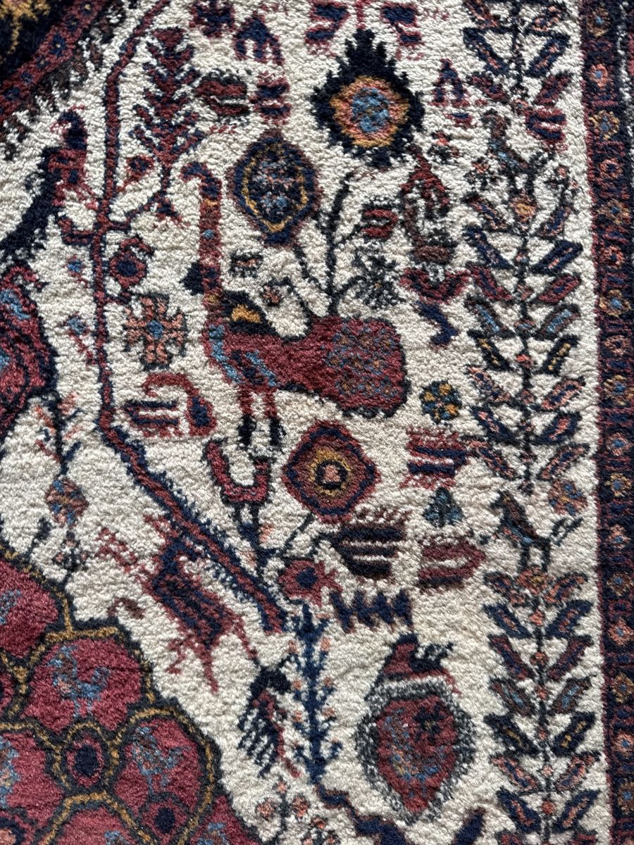 Tappeti: Einmalig schöner Perserteppich Afshar – Usato da Frauenkappelen venduto da leola1973 3