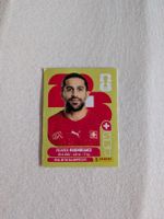 Panini Bild SUI 5