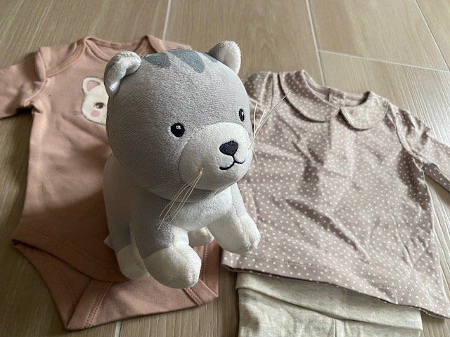Lotti & Set di vestiti: neues Baby Geschenk Set Gr. 62 "Büsi" – Nuovo (secondo la descrizione) da Staufen venduto da Nasli 3