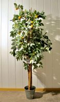 Mandarinen Kunstbaum mediterran Deko Zitrus-Pflanze Baum