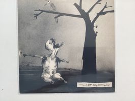 Various Maxi-Single - Last Nightingale