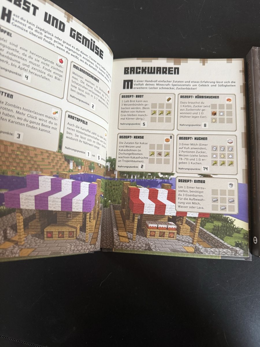 Livres: Minecraft Handbuch – Neuf (Voir description) à Thalwil par MB-7 4