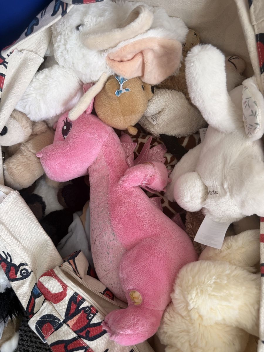 Spielzeuge: Diverse Stofftiere – Gebraucht aus Zürich von cha_y9x8 2