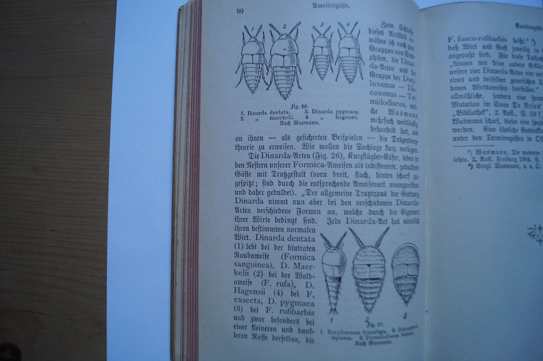 Libri: Ameisen und Ameisenseele, 1908 – Usato da Scheid venduto da dirauls 1