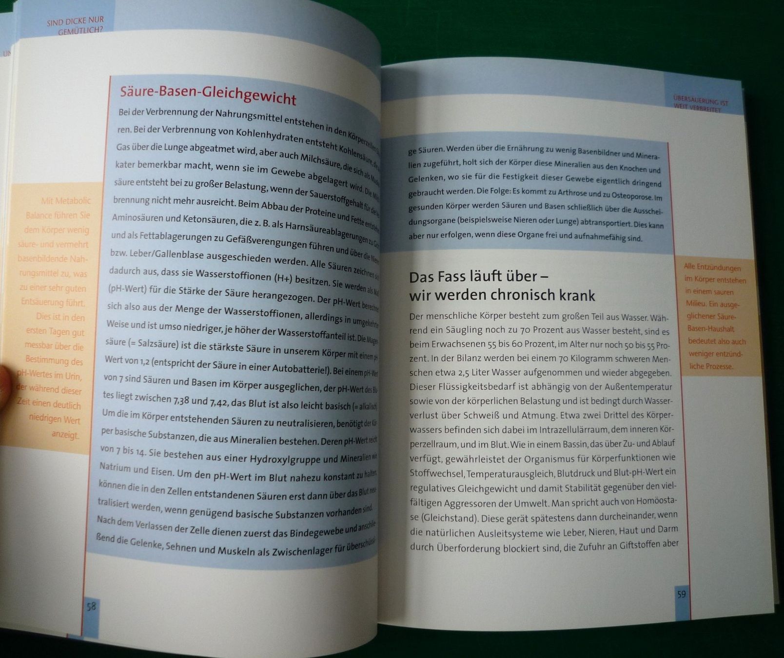 Livres: metabolic balance "Die Diät" – D'occasion à Rafz par Sonnenblume305 1