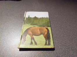 Kleine Pferdegeschichten 5. Teil, 1965