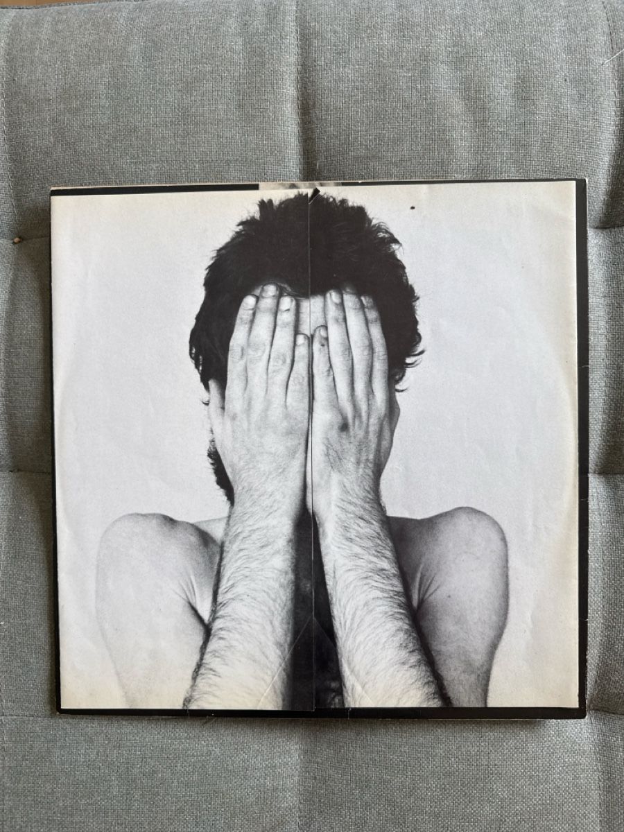 Dischi in vinile: Peter Hammill "The Future Now" 1978 Van der Graaf generator  – Usato da St-Légier-Chiésaz venduto da My_favorite_shop 2